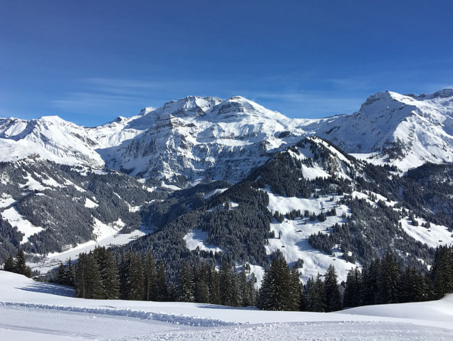 Gruppentour Schweiz Skifahren